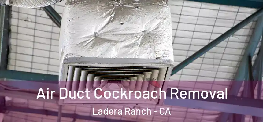 Air Duct Cockroach Removal Ladera Ranch - CA