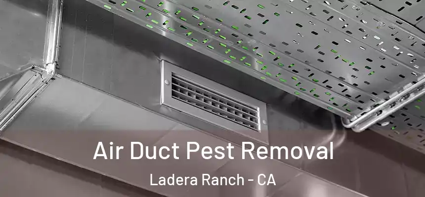 Air Duct Pest Removal Ladera Ranch - CA