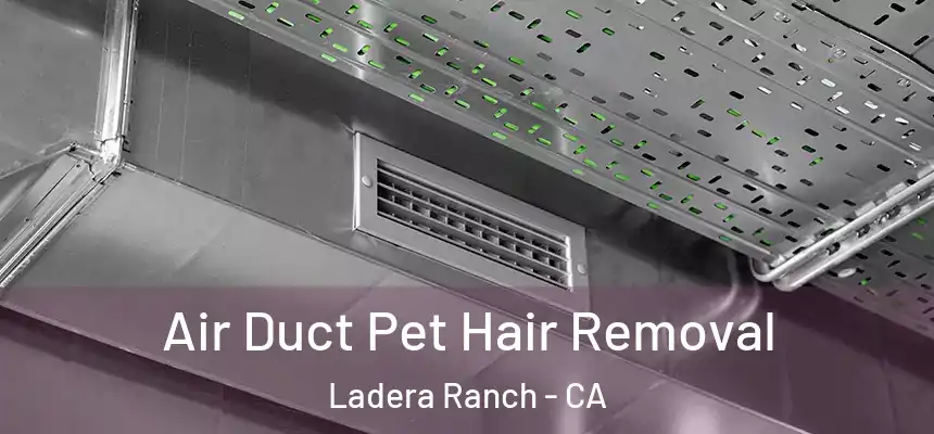 Air Duct Pet Hair Removal Ladera Ranch - CA