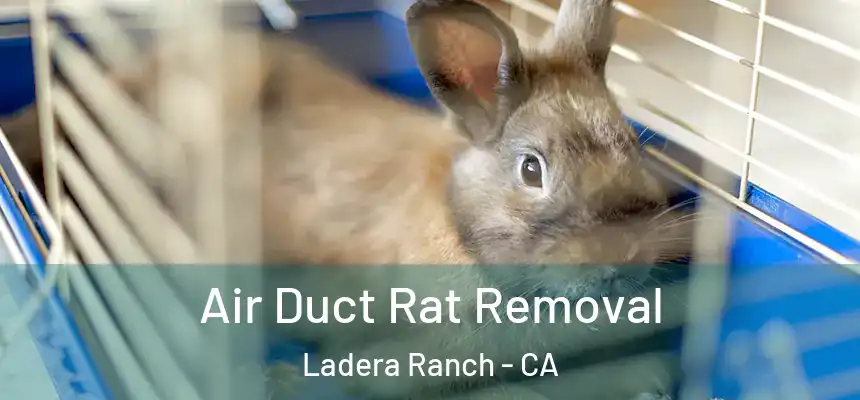  Air Duct Rat Removal Ladera Ranch - CA
