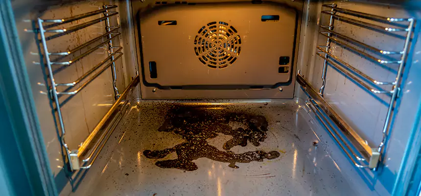 Our Dryer Vent Mold Cleaning Services in Ladera Ranch, CA