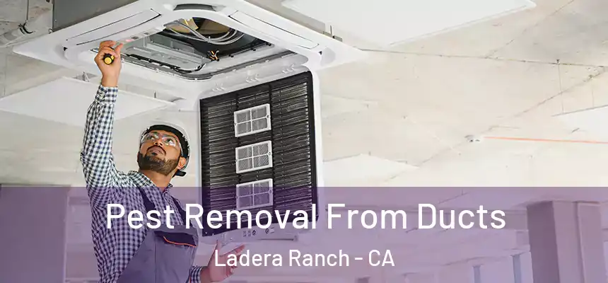  Pest Removal From Ducts Ladera Ranch - CA