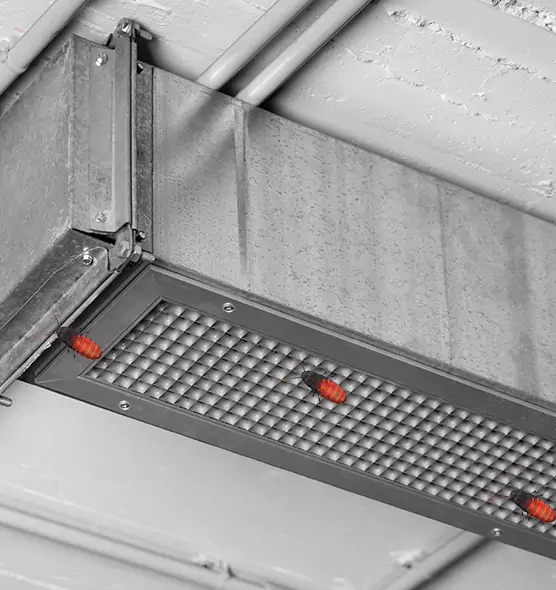 About Air Duct Cockroach Removal in Ladera Ranch, CA