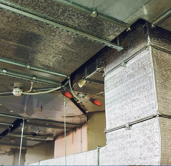 Why Homeowners & Businesses Trust Us in Ladera Ranch, CA?