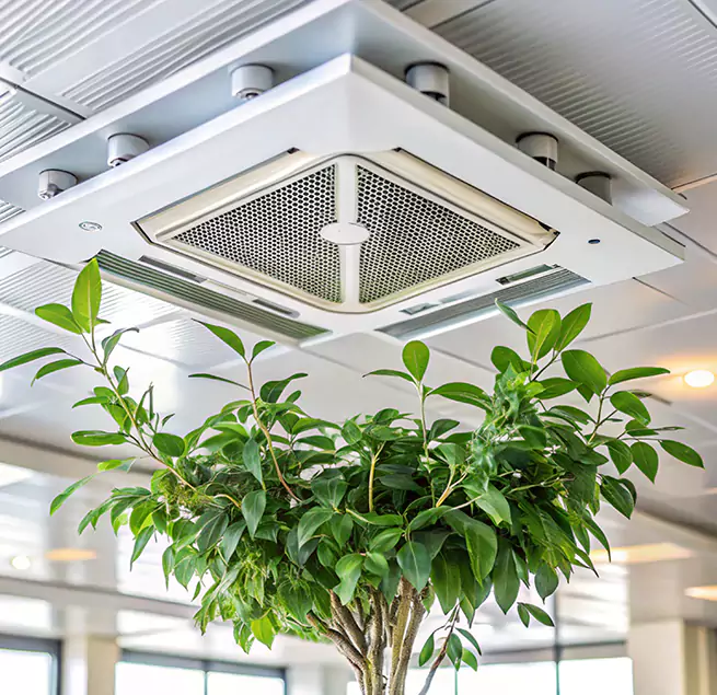 Why Homeowners & Businesses Trust Us in Ladera Ranch, CA